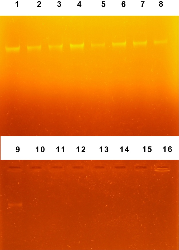 Fig. 10