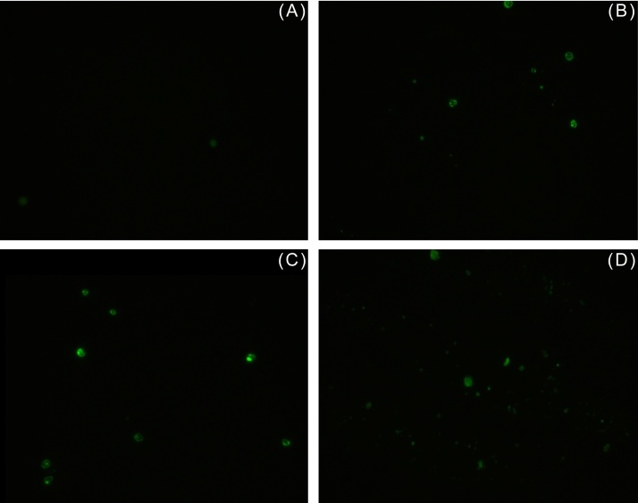 Fig. 9