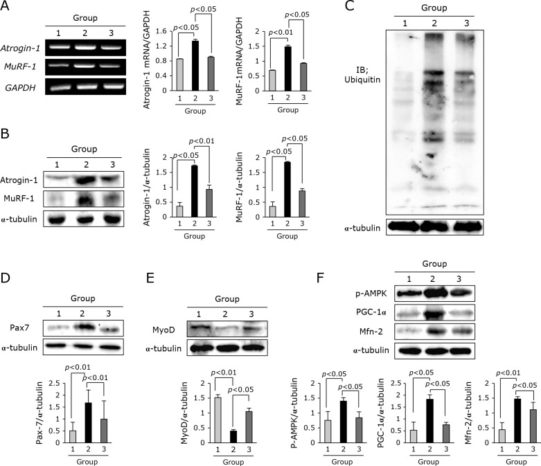 Fig. 2.