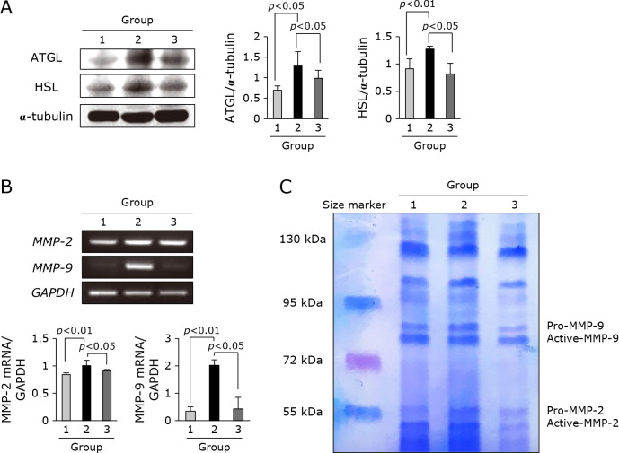 Fig. 4.