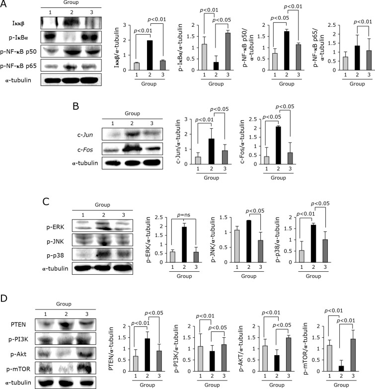 Fig. 6.