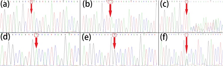 FIGURE 4