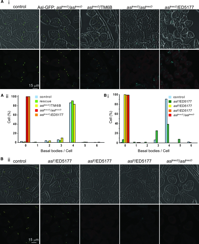 Figure 2.—