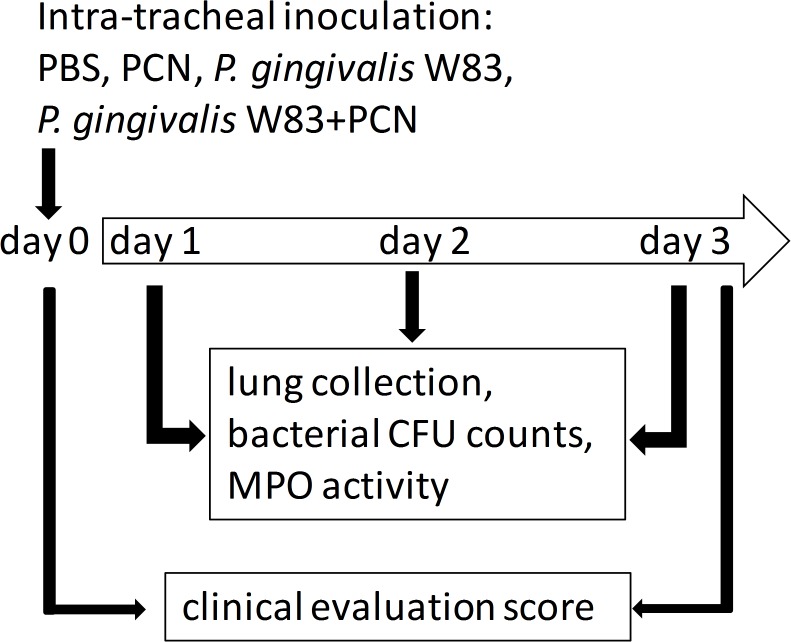 Fig 15