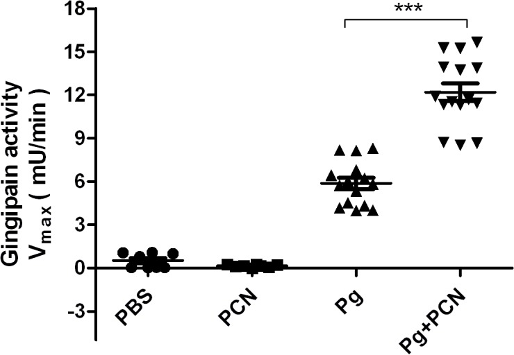 Fig 12