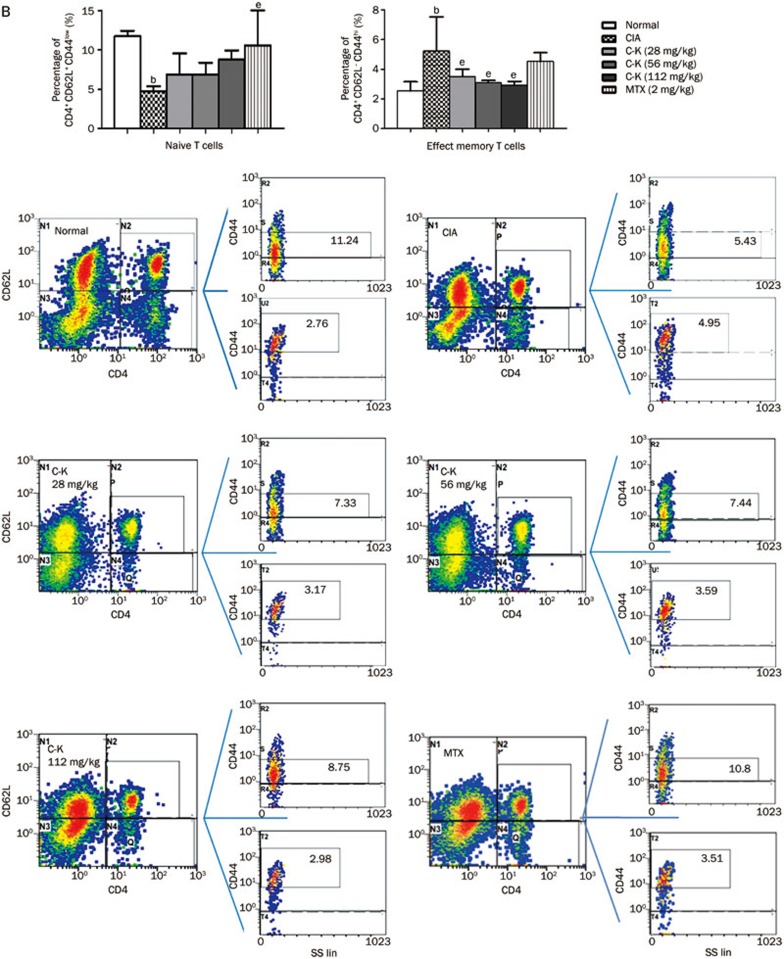 Figure 6B