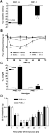 Figure 11.