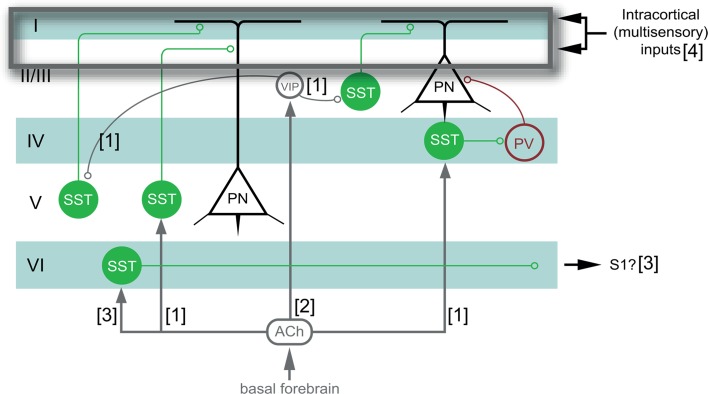 Fig. 9