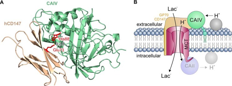 Figure 9.