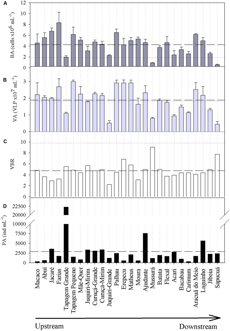 FIGURE 3