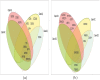 Fig 10