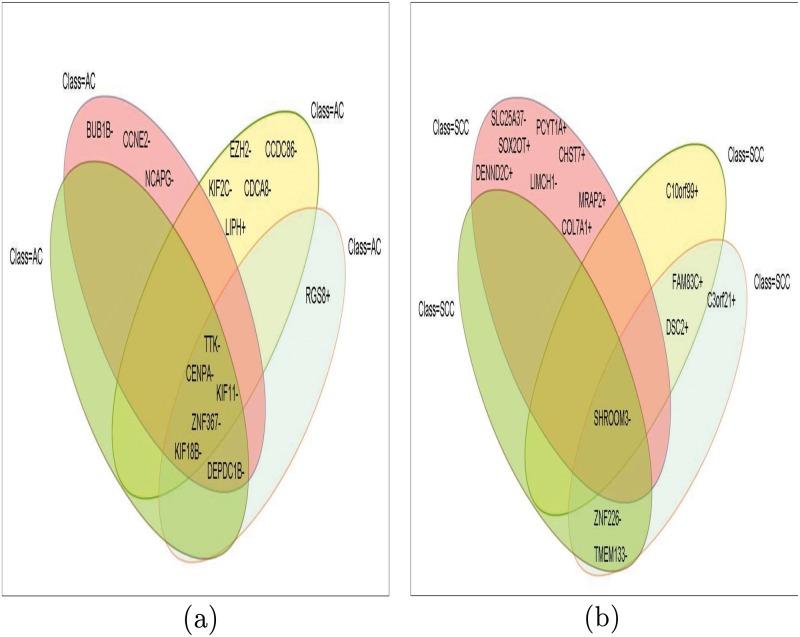 Fig 10