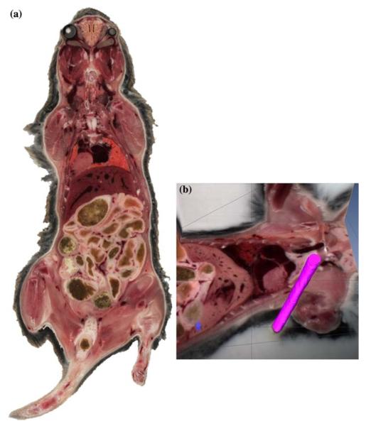 FIGURE 2