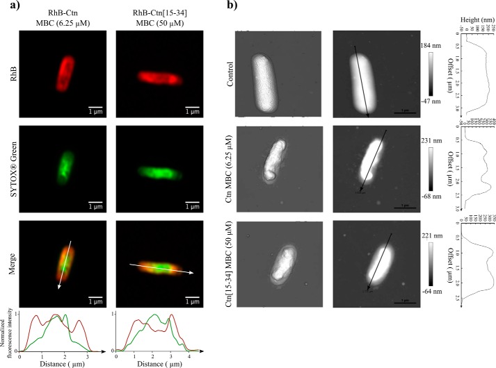 Figure 4.