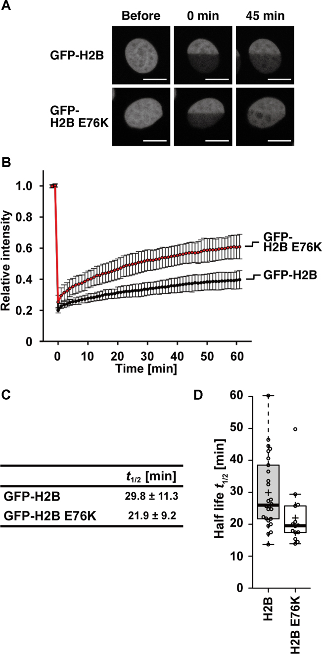 Figure 4.