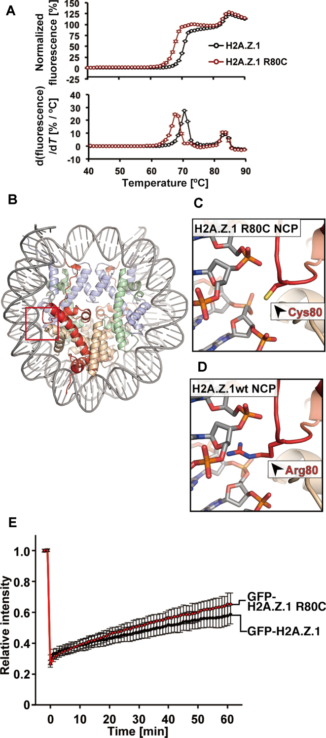 Figure 7.