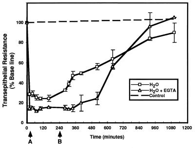 FIG. 6