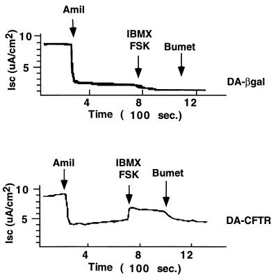 FIG. 7