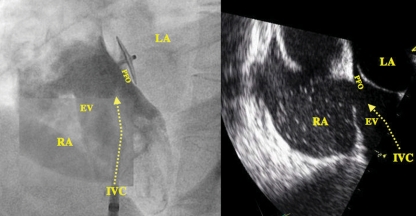 Figure 5