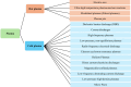 Plasma classification.
