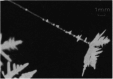 An ‘electric’' needle growing at −4°C under the influence of an electric field