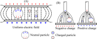 The behaviour of charged and neutral particles in a uniform electric field