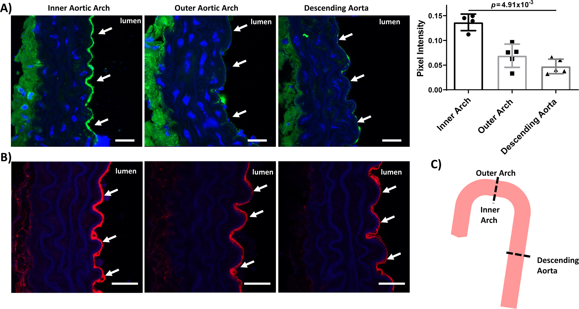 Figure 6: