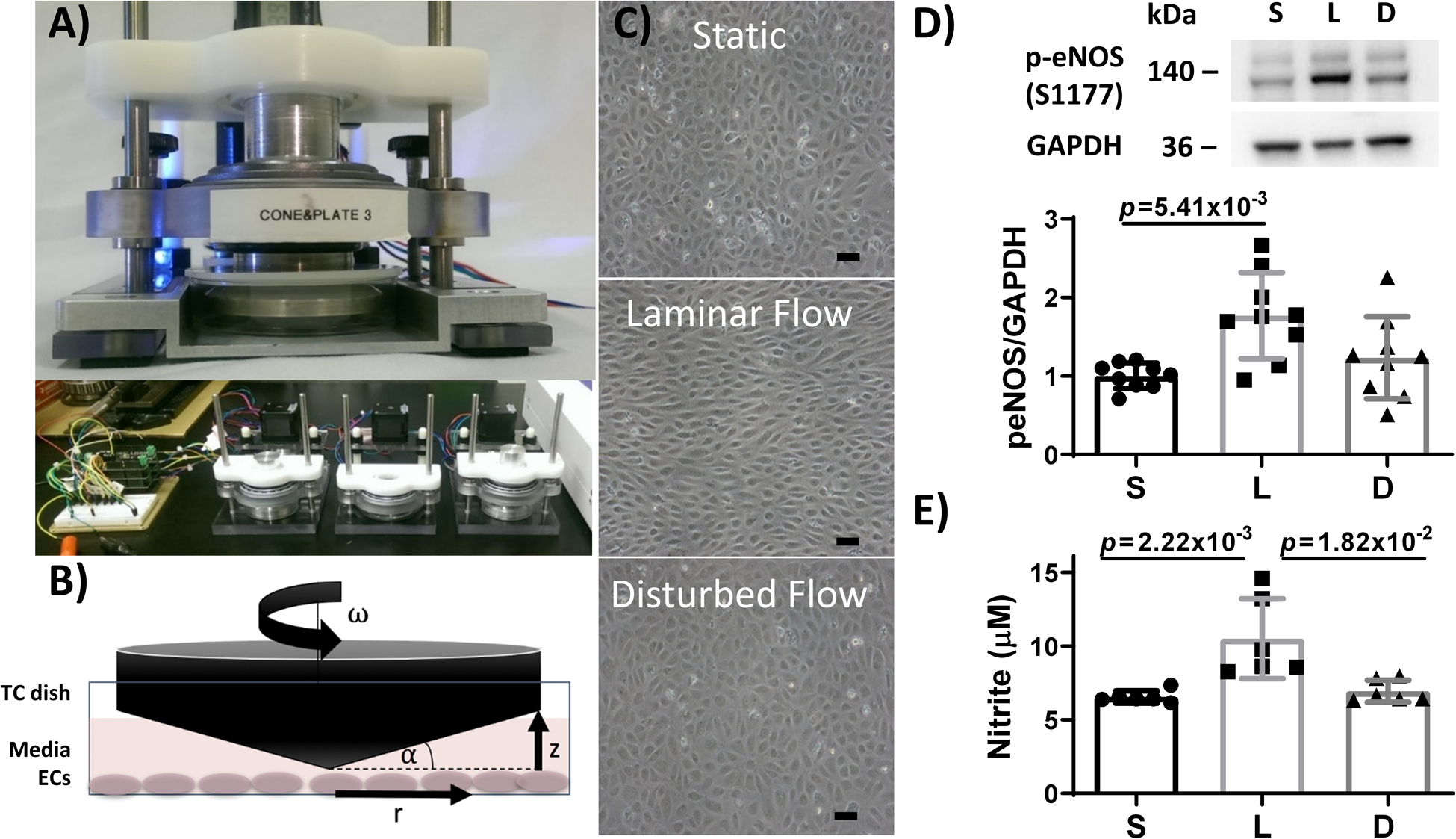 Figure 1: