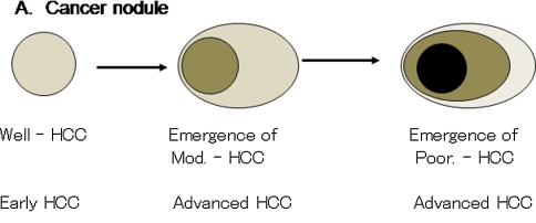 Fig. 7