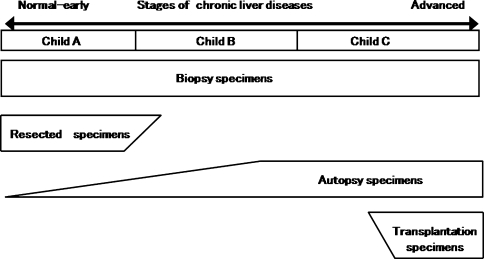 Fig. 6