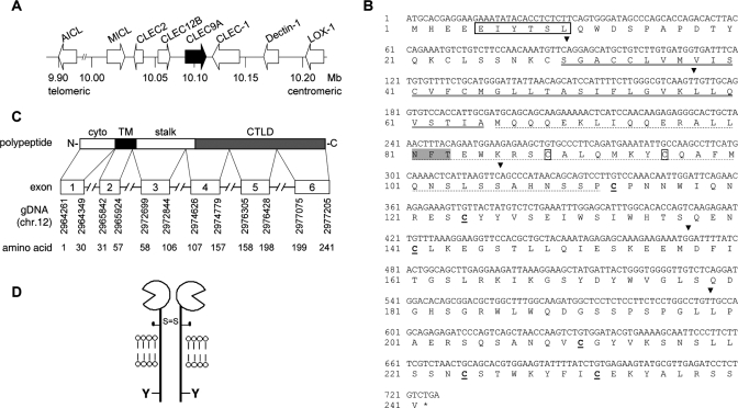 FIGURE 1.