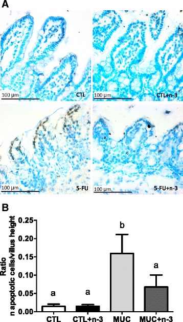 Fig. 5