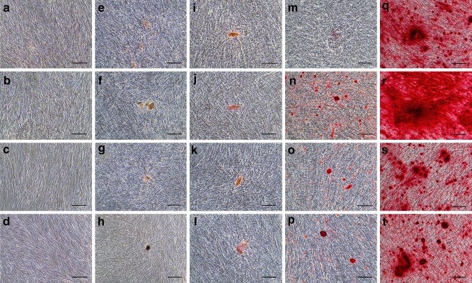 Fig. 3