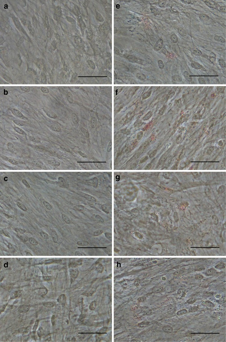 Fig. 5