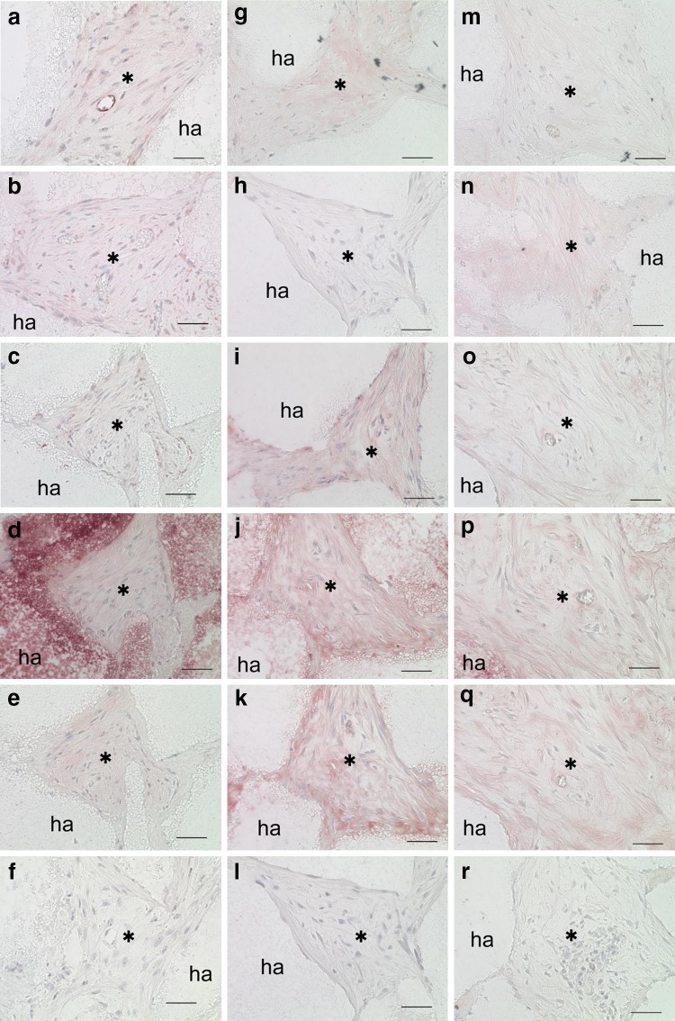 Fig. 7