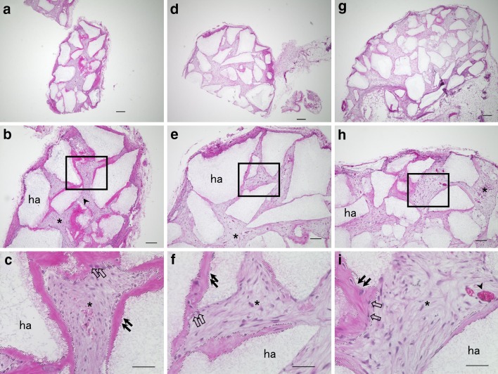 Fig. 6