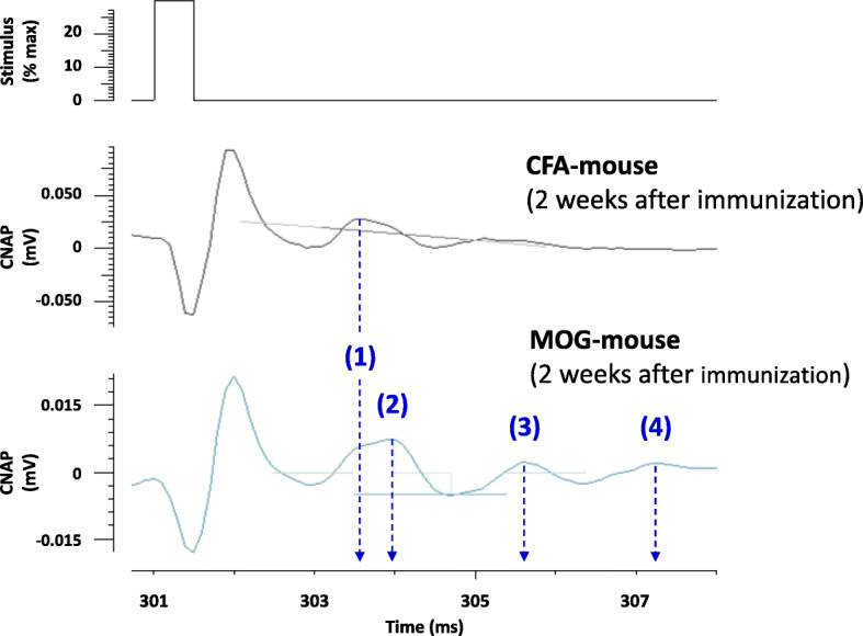 Fig. 7