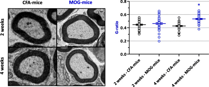 Fig. 10