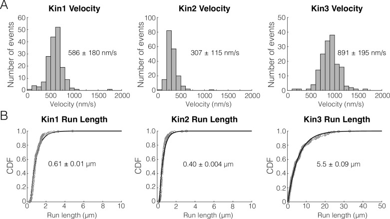 Figure 1—figure supplement 2.