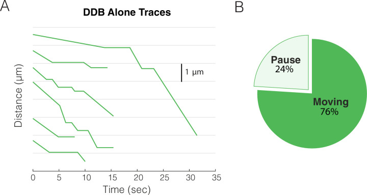 Figure 4—figure supplement 2.