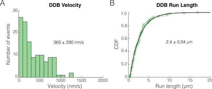 Figure 1—figure supplement 3.