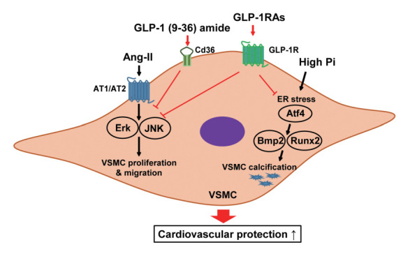 Fig. 6.