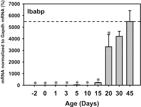 Fig. 19.