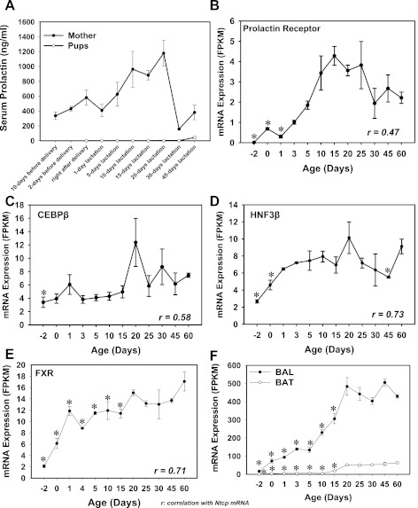 Fig. 18.