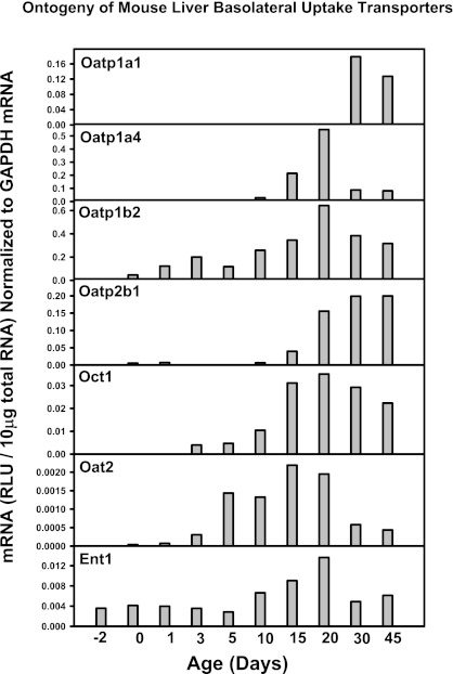 Fig. 13.