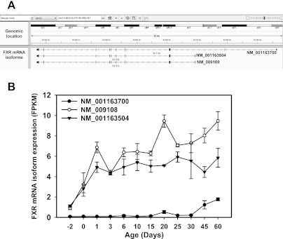 Fig. 17.