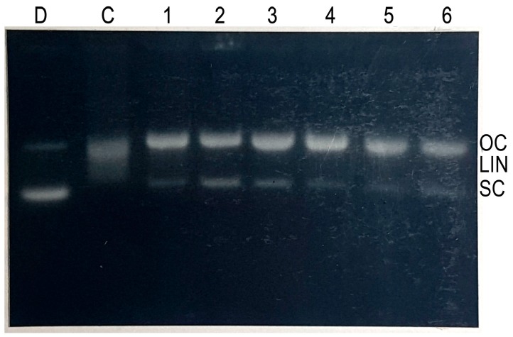 Figure 4