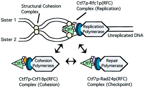 FIG. 6.