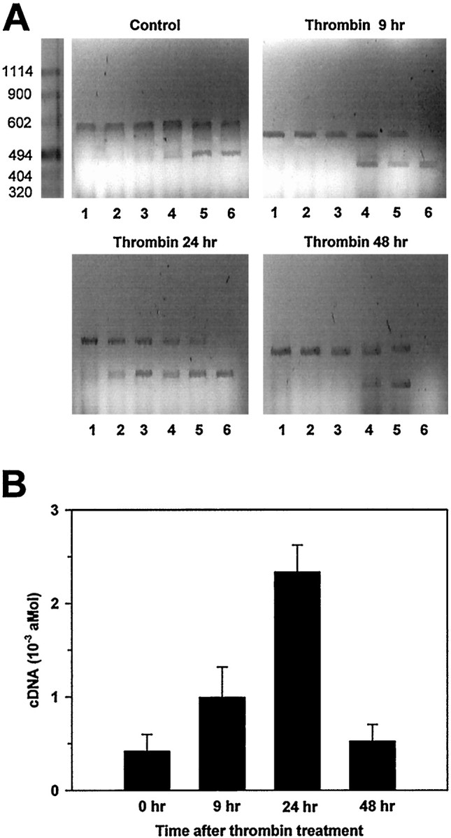 Fig. 7.