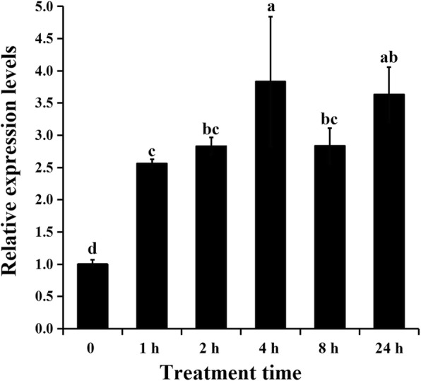 Fig. 2